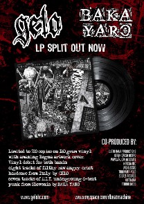 LP Split